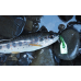 Воблер Ray Tune MT-01 42 mm 5.8 gr
